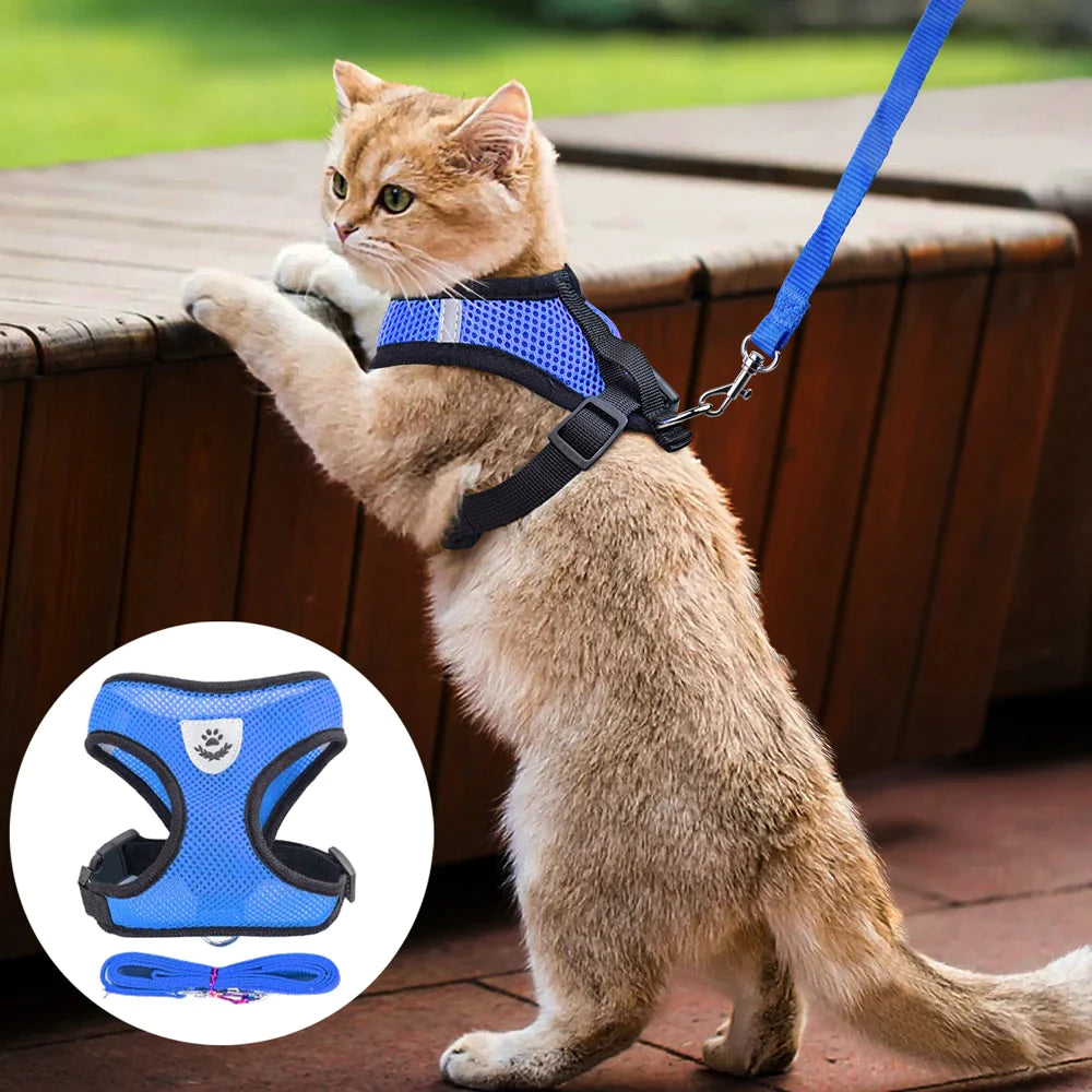 Reflective Mesh Harness & Leash Set for Cats and Small Dogs
