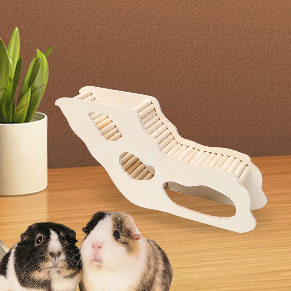 Hamster climbing ladder and hideout – photo 5