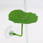 Betta fish leaf hammock