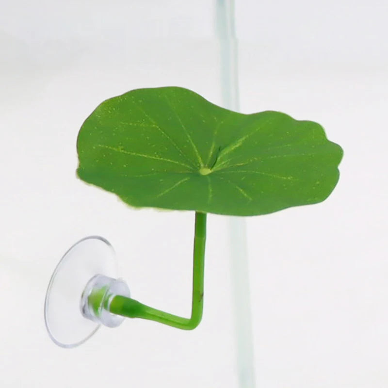 Betta fish leaf hammock