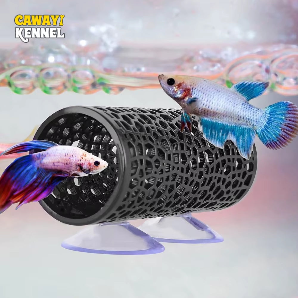 Betta fish tunnel – photo 2