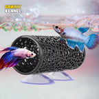 Betta fish tunnel – photo 2