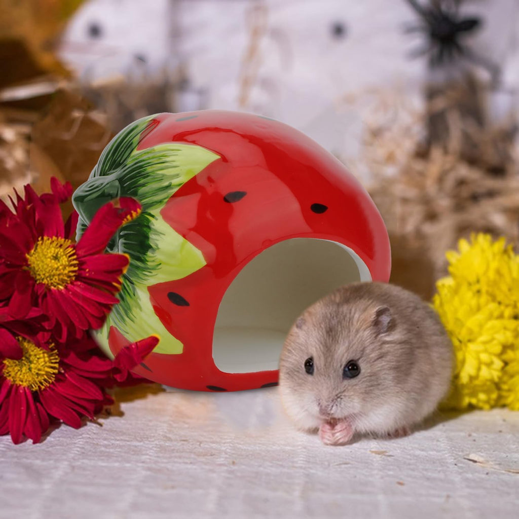Ceramic Hamster Hideout House – Red Strawberry