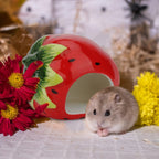 Ceramic Hamster Hideout House – Red Strawberry