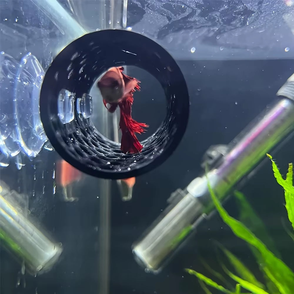 Betta fish tunnel – photo 6