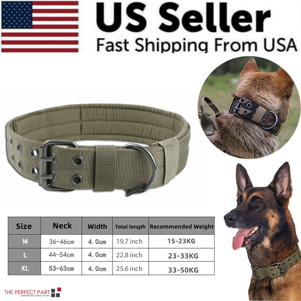 Wide Nylon Dog Collar with Metal Buckle – Neoprene Lined