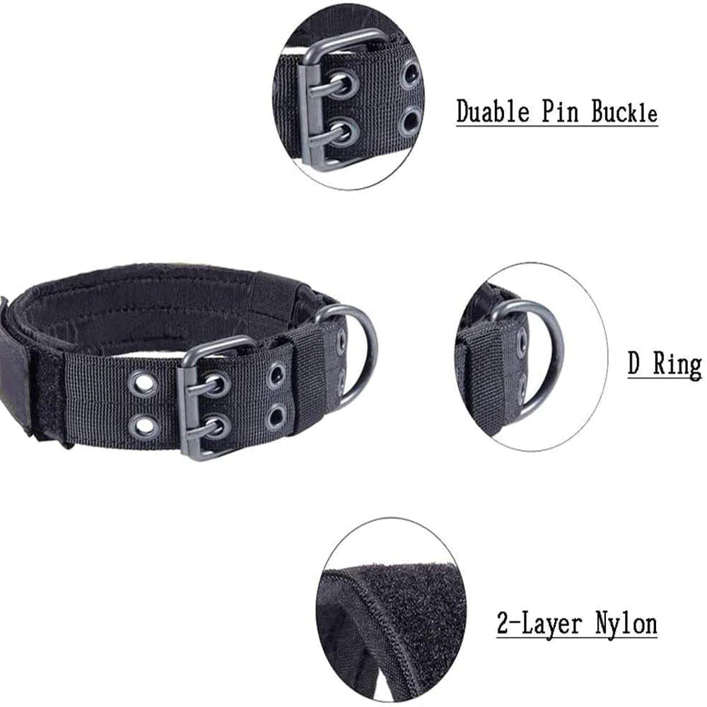 Wide Nylon Dog Collar with Metal Buckle – Neoprene Lined