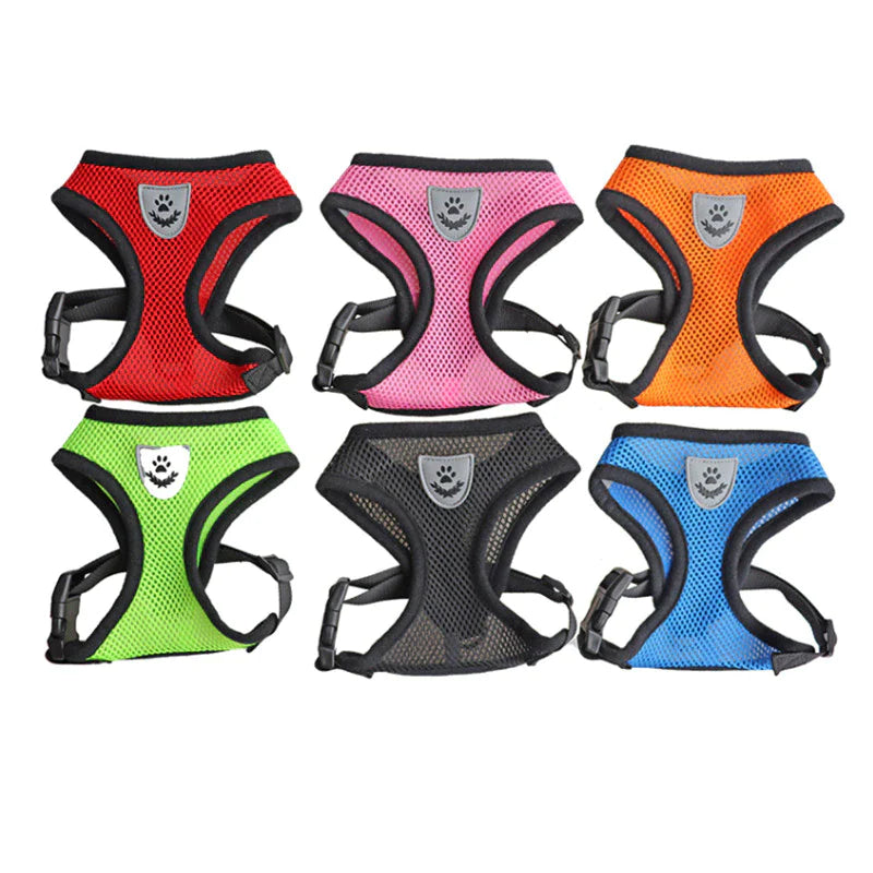Reflective Mesh Harness & Leash Set for Cats and Small Dogs
