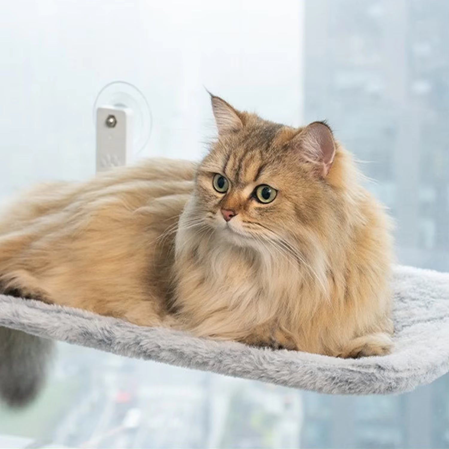 Foldable Cat Window Perch – Cordless Cat Hammock with Strong Suction Cups