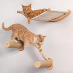 Wall-Mounted Cat Climbing Frame with Wooden Cat Bed and Hammock