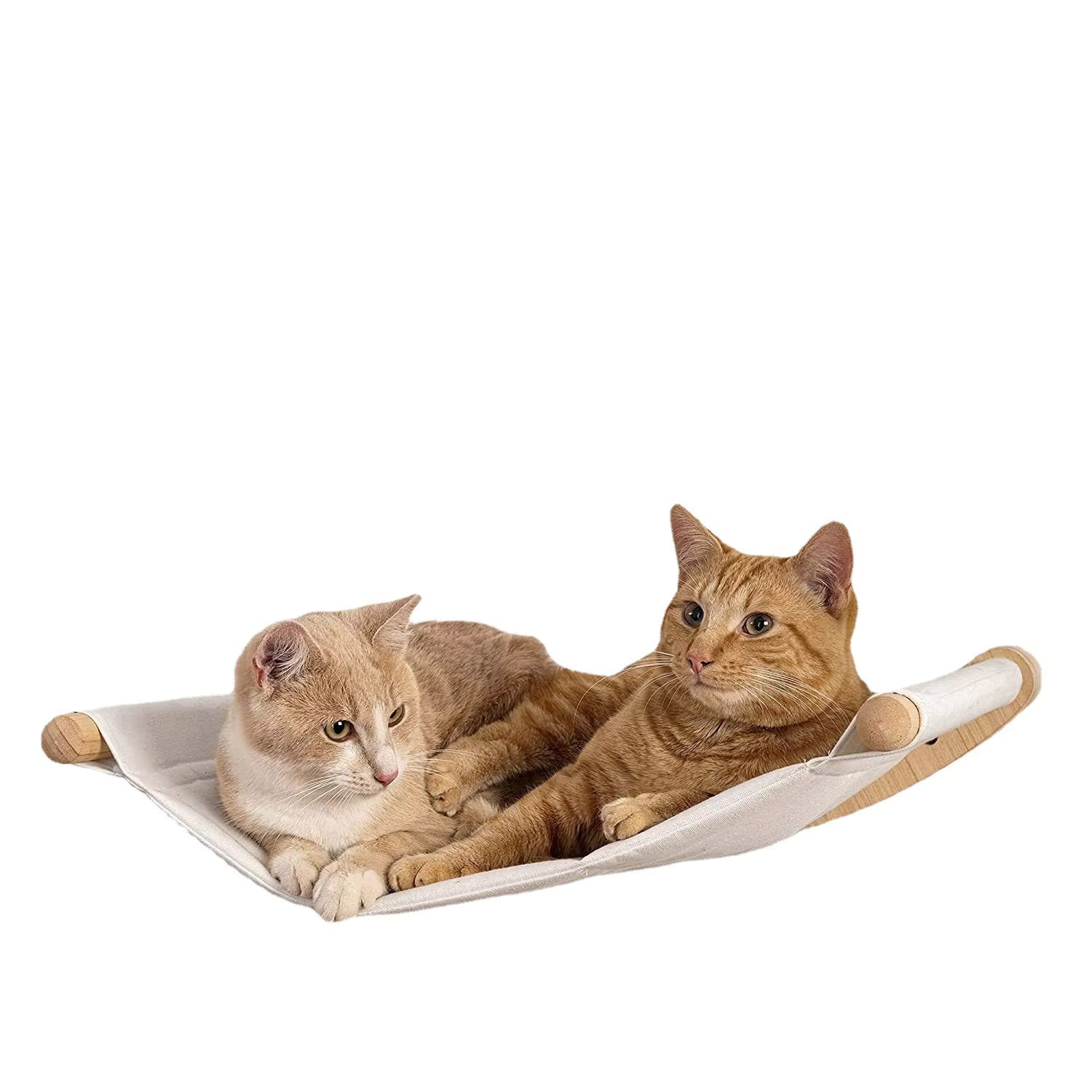 Wall-Mounted Cat Climbing Frame with Wooden Cat Bed and Hammock