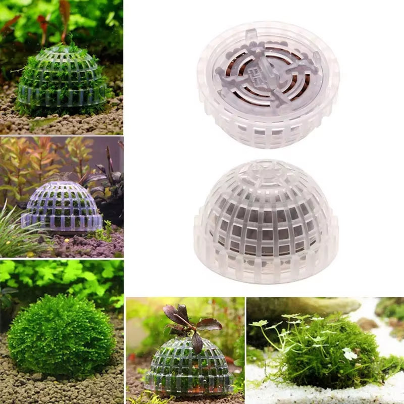Aquarium moss ball holder