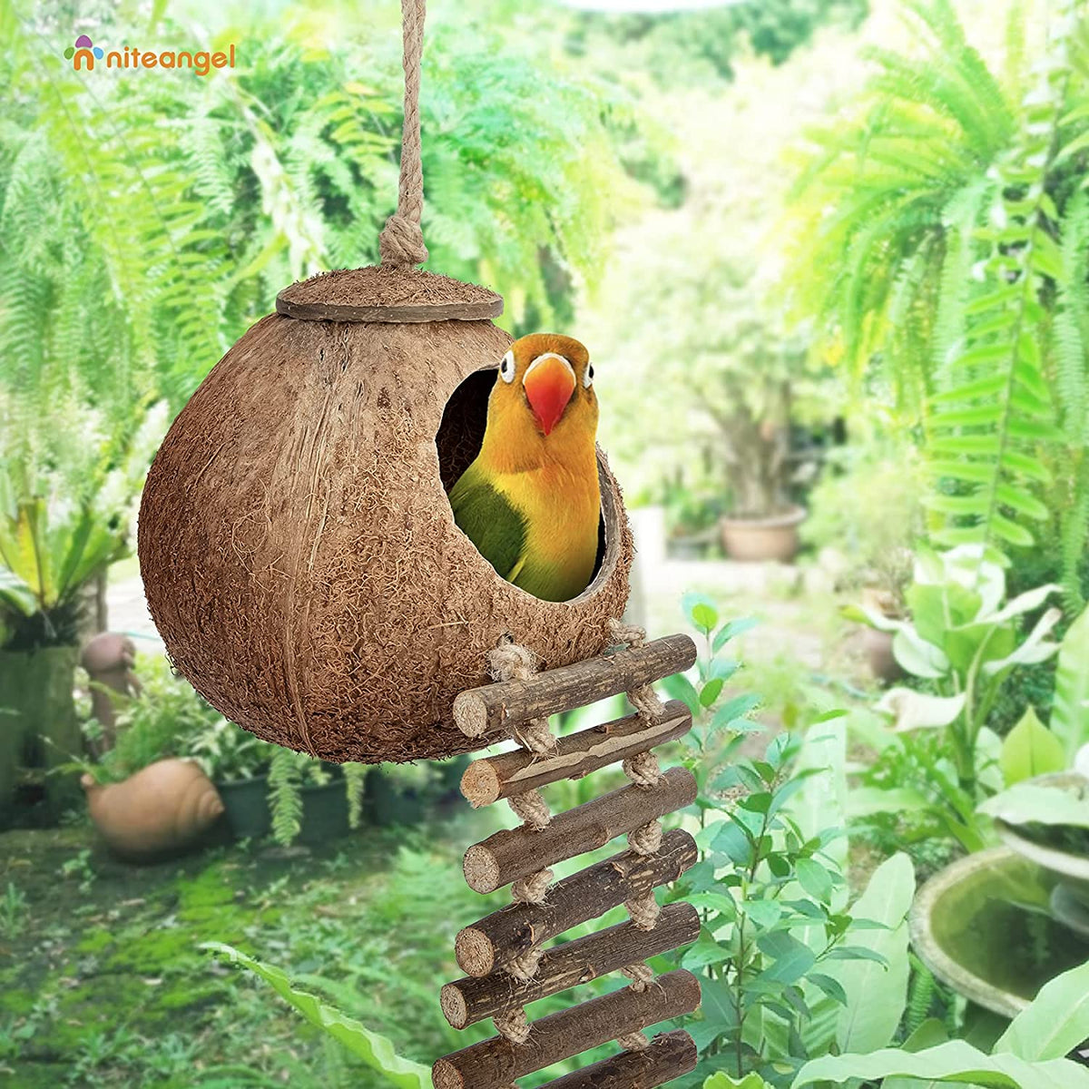 Natural Coconut Hideaway with Hanging Ladder