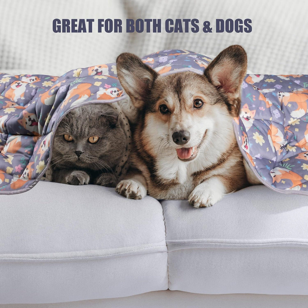 Pet Cooling Mat: Dog & Cat Summer Blanket - Portable & Reusable, Keeps Pets Cool Indoors & Outdoors