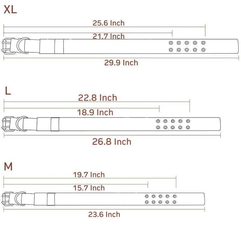Wide Nylon Dog Collar with Metal Buckle – Neoprene Lined