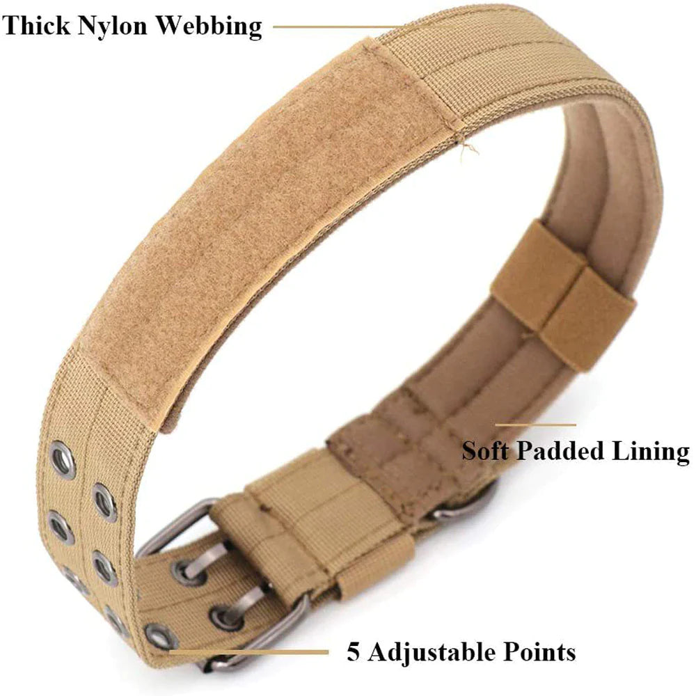 Wide Nylon Dog Collar with Metal Buckle – Neoprene Lined