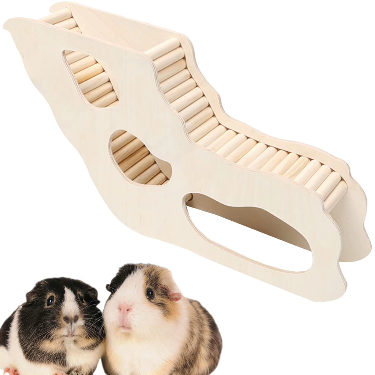 Hamster climbing ladder and hideout – photo 4