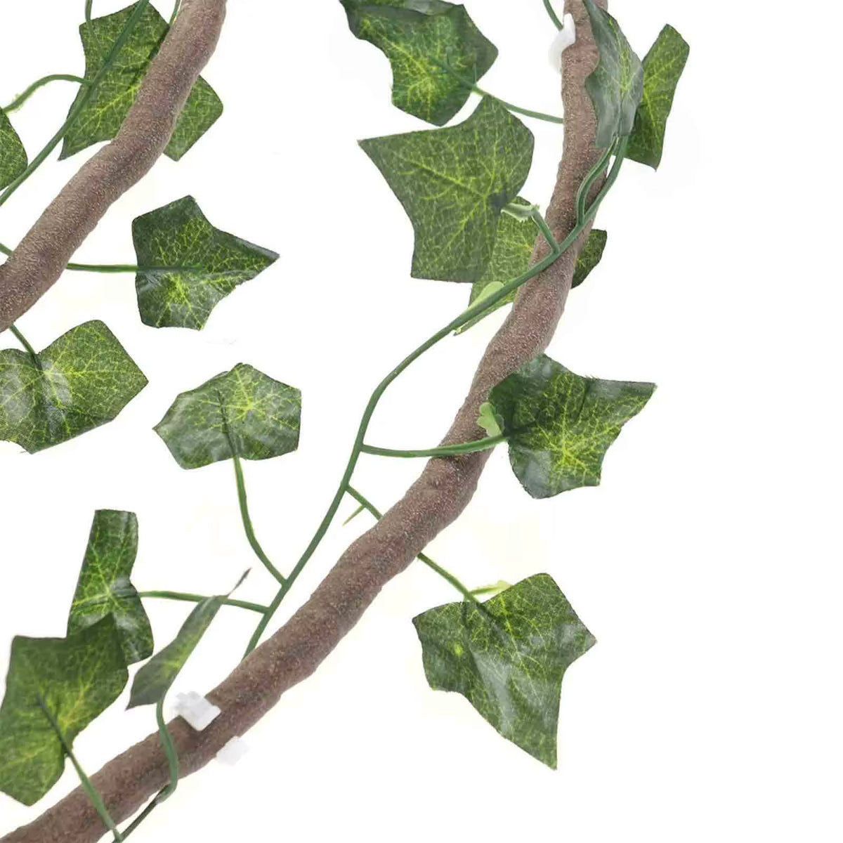 Reptile terrarium vines – photo 6