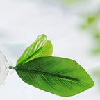 Betta fish leaf hammock – photo 5