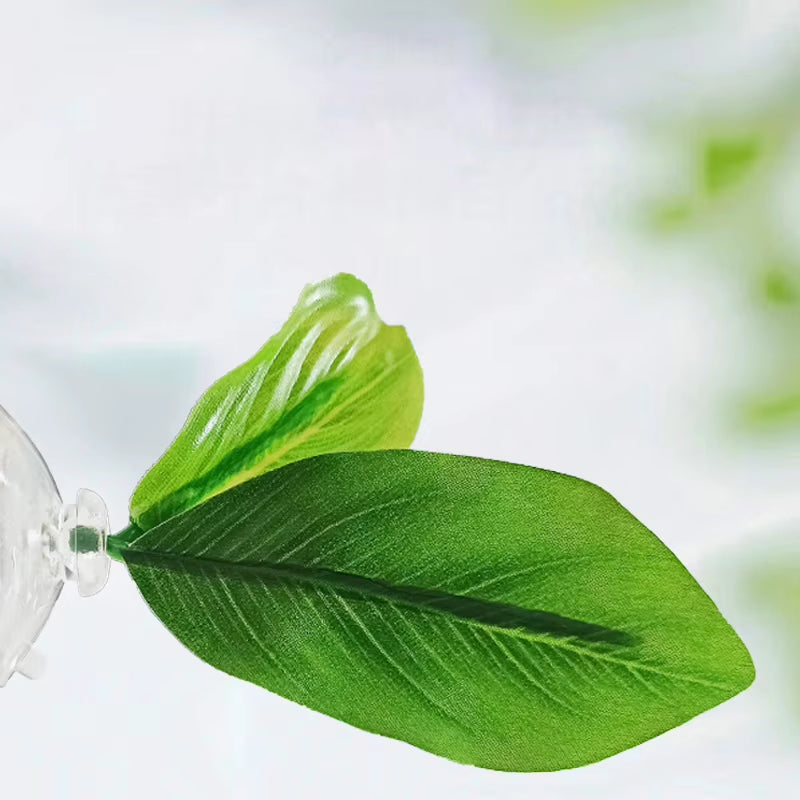Betta fish leaf hammock – photo 5