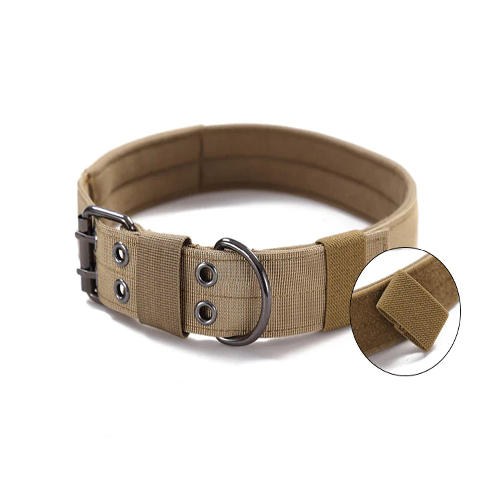 Wide Nylon Dog Collar with Metal Buckle – Neoprene Lined