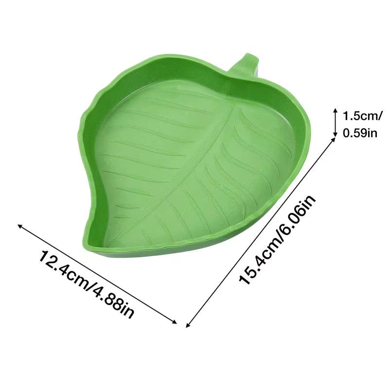 Reptile water bowl – photo 3