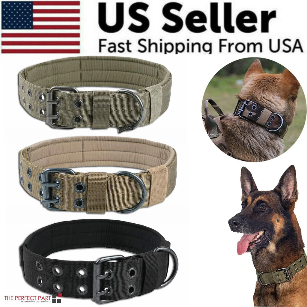 Wide Nylon Dog Collar with Metal Buckle – Neoprene Lined