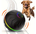 Interactive dog ball
