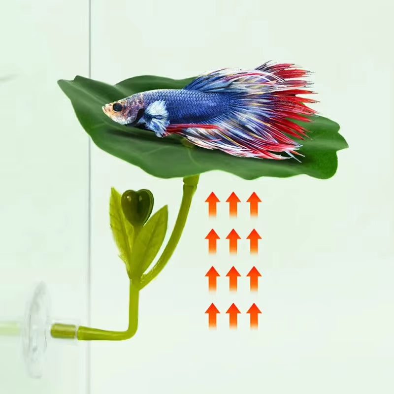 Betta fish leaf hammock – photo 3