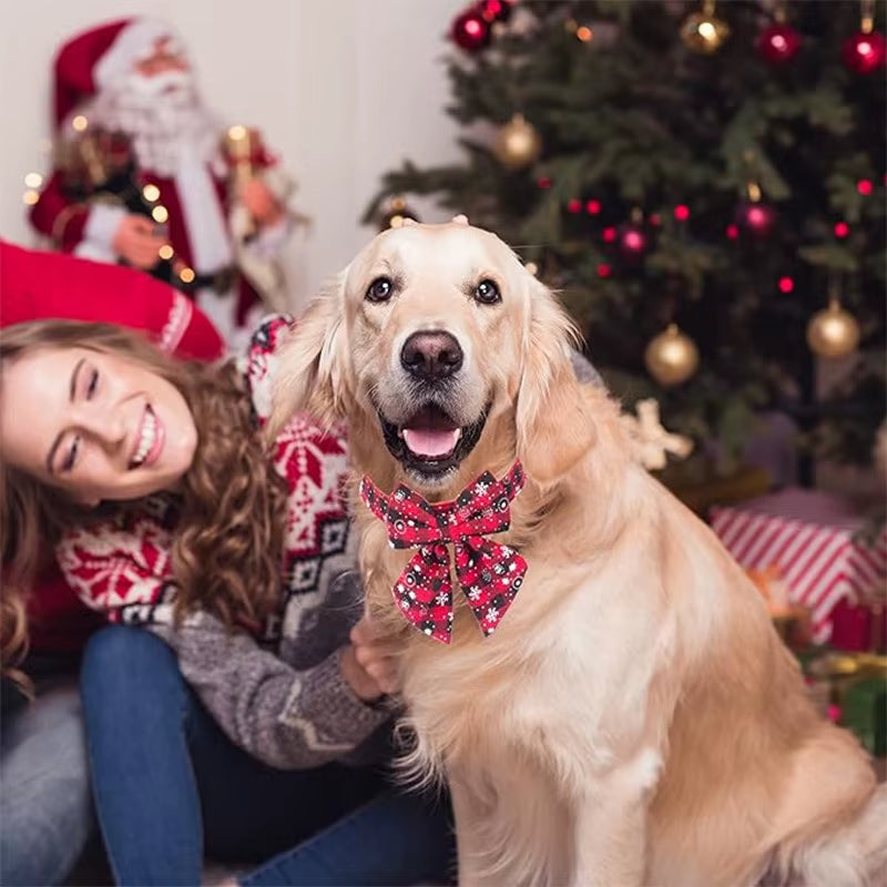 Christmas dog collar with bow tie – photo 4