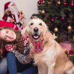 Christmas dog collar with bow tie – photo 4