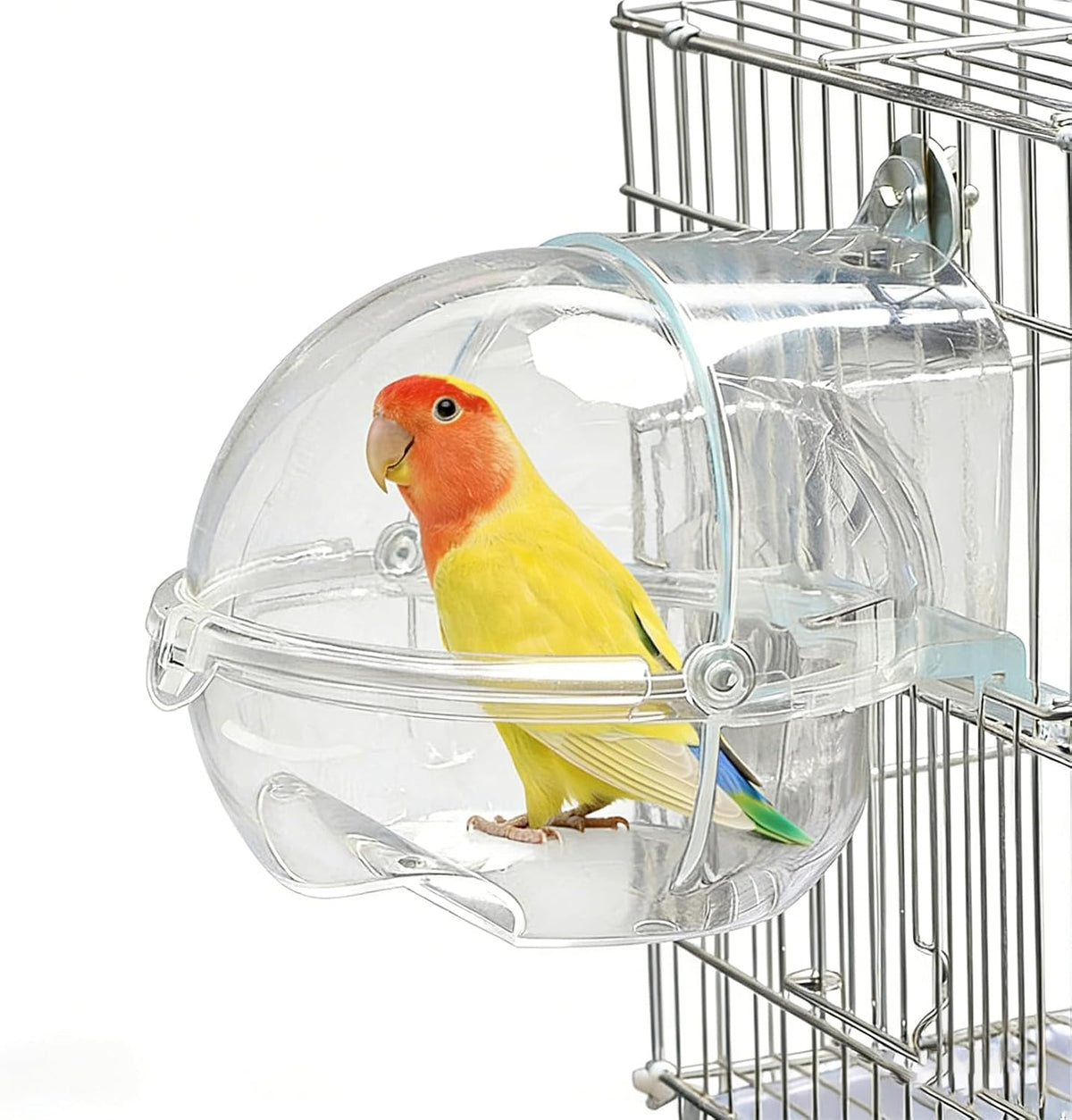 Transparent Hanging Bird Bath – Round Planet Design