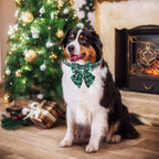 Christmas dog collar with bow tie – photo 3