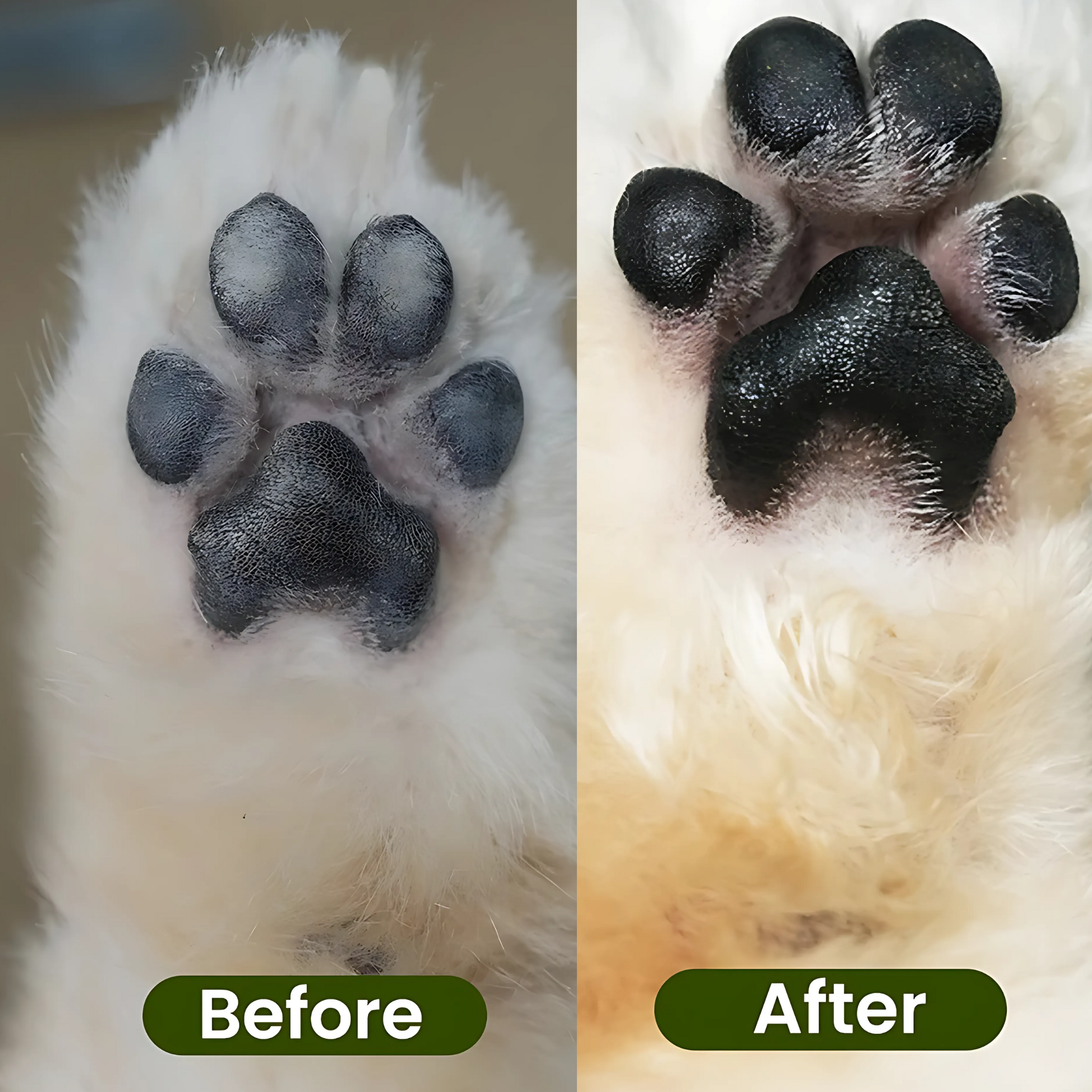 Waterless Dog Paw Cleaner with Silicone Brush – No-Rinse Foaming Paw Washer for Dogs & Cats