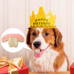 Funny dog teeth toy – photo 4