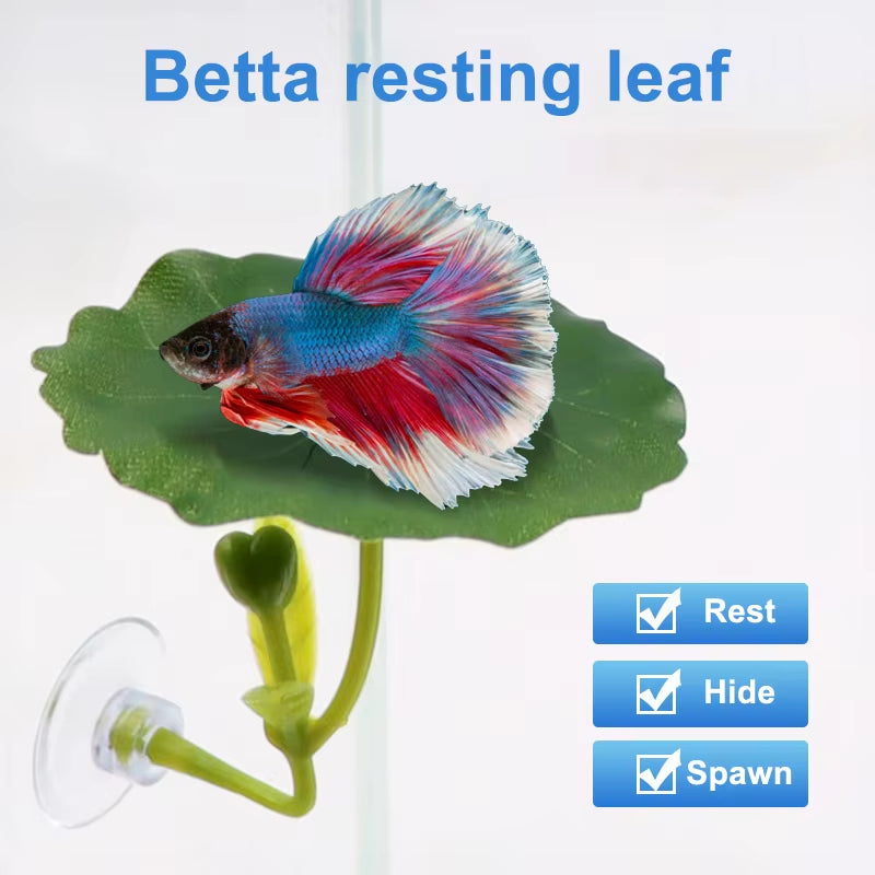Betta fish leaf hammock – photo 2