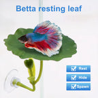 Betta fish leaf hammock – photo 2