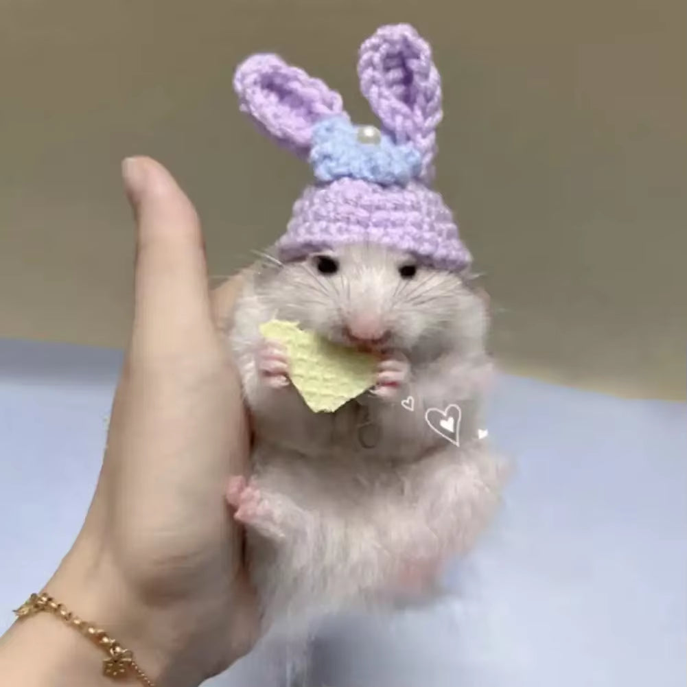 Mini knitted pet hat – photo 9