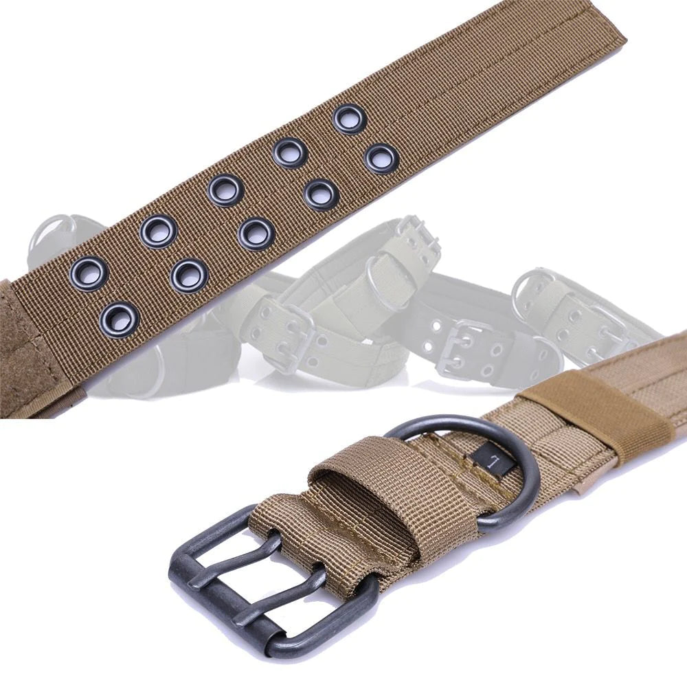 Wide Nylon Dog Collar with Metal Buckle – Neoprene Lined
