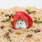 Ceramic Hamster Hideout House – Red Strawberry