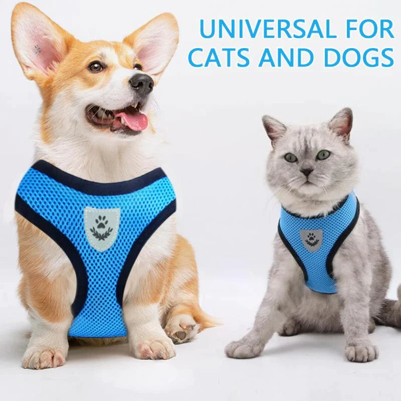 Reflective Mesh Harness & Leash Set for Cats and Small Dogs
