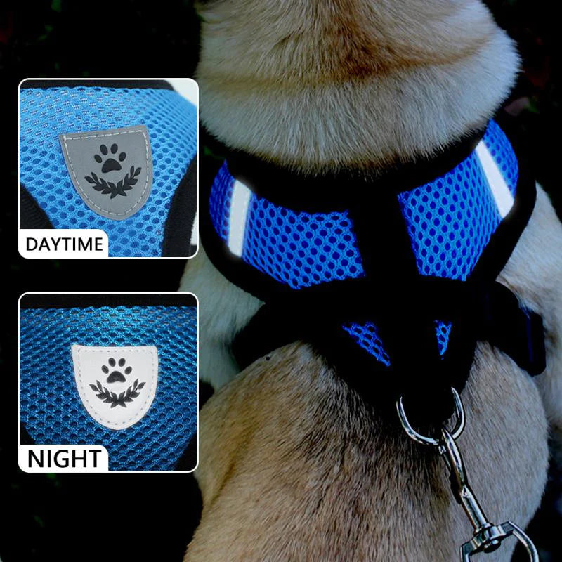 Reflective Mesh Harness & Leash Set for Cats and Small Dogs
