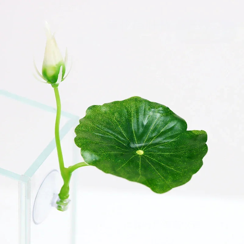 Betta fish leaf hammock – photo 8