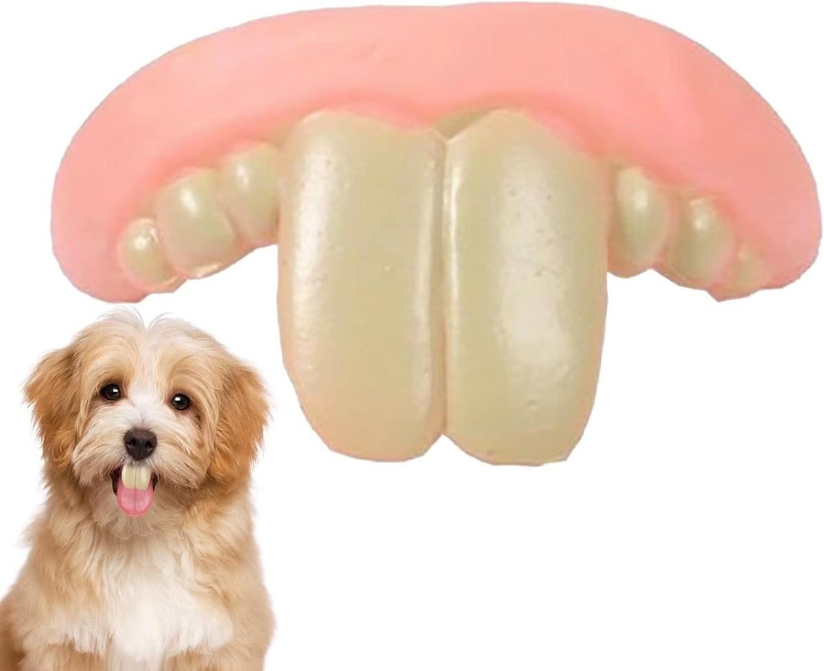 Funny dog teeth toy – photo 2