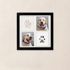 Diy Hand and Footprint Kit Ink Pads Photo Frame Handprint Paw Print Kit Dog Frame Pet Memorial Picture Frame with Pawprints Kit
