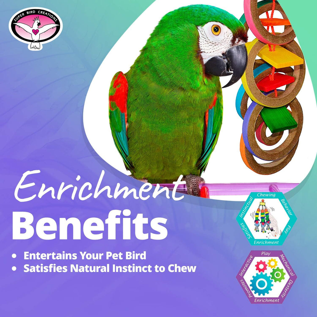Olympic Rings Hanging Bird Toy – Super Bird Creations SB625