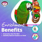 Olympic Rings Hanging Bird Toy – Super Bird Creations SB625
