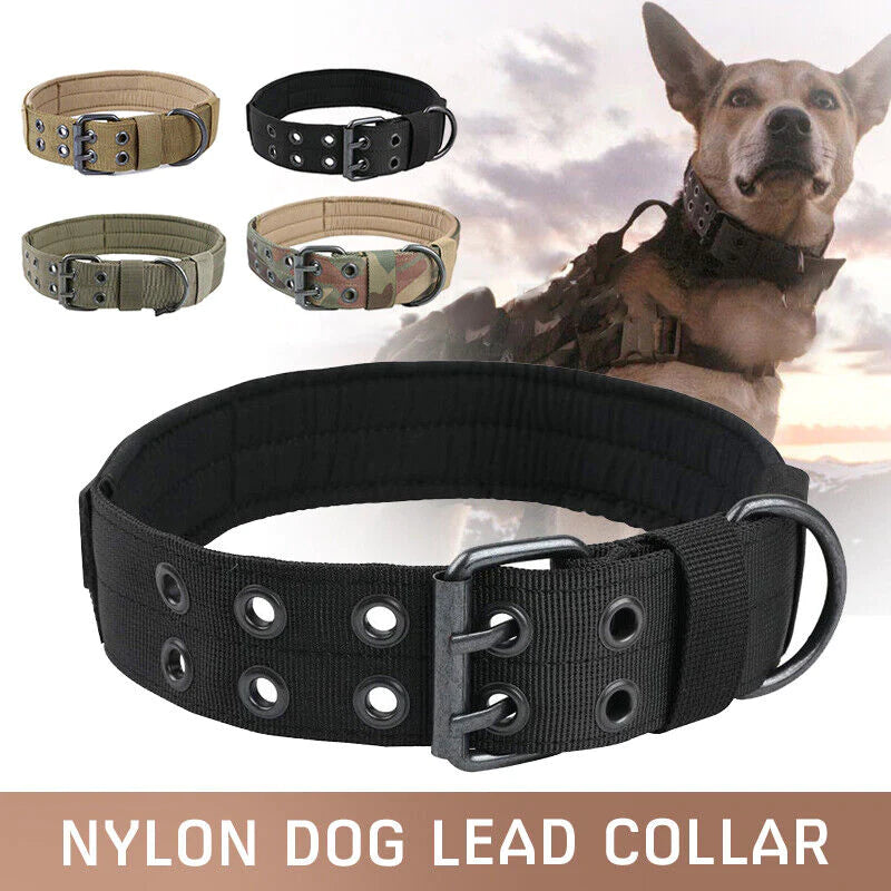 Wide Nylon Dog Collar with Metal Buckle – Neoprene Lined