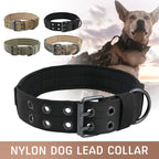 Wide Nylon Dog Collar with Metal Buckle – Neoprene Lined