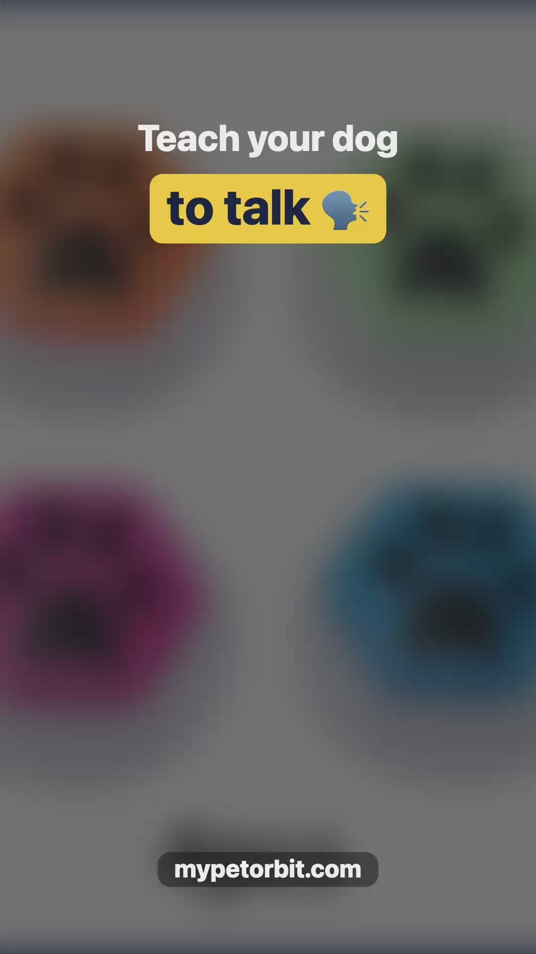 Dog Talking Buttons video